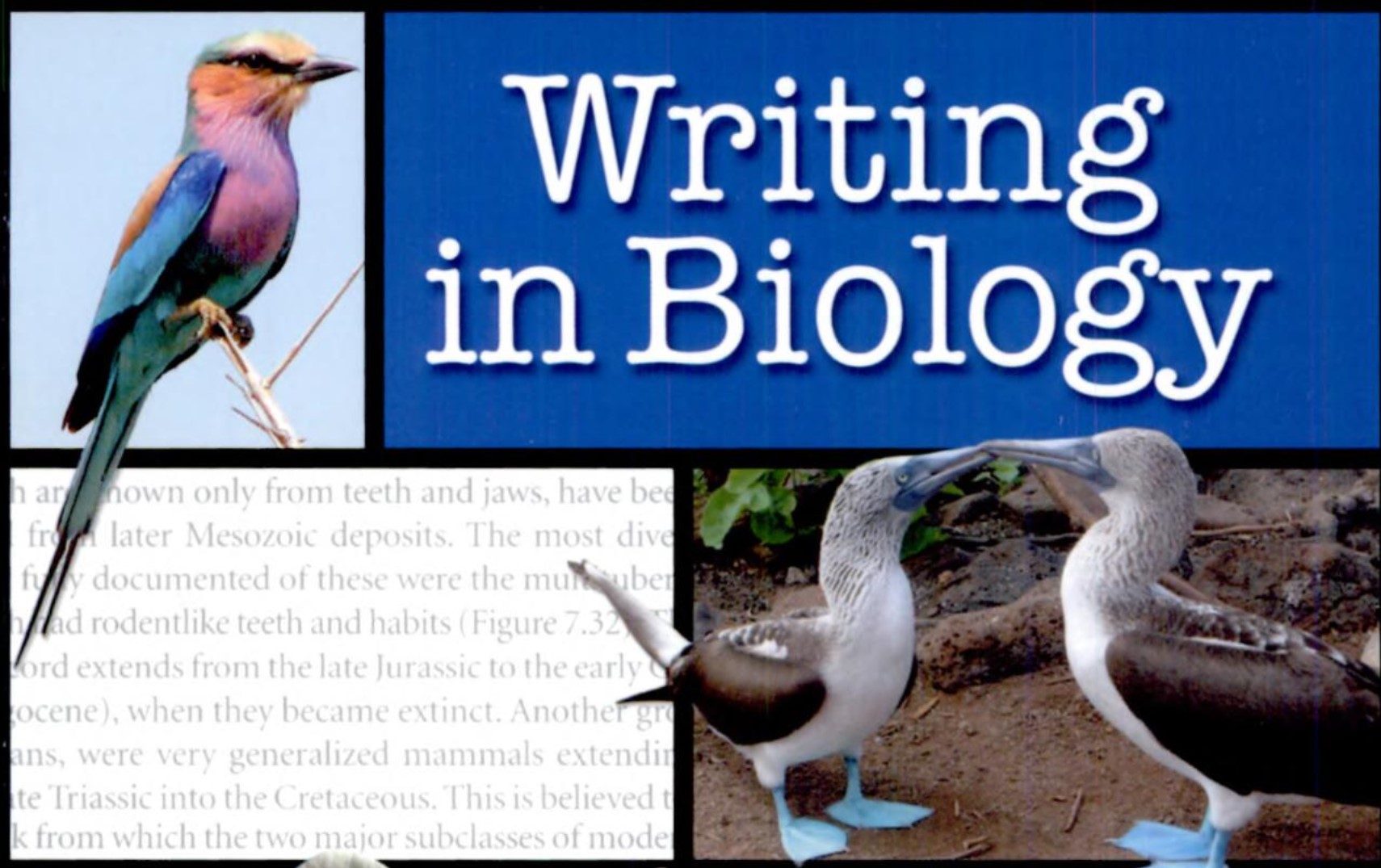 Data Analysis Using Statistics